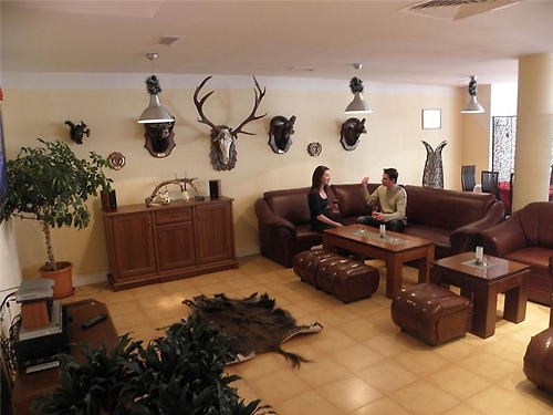 Hotel Apartamente Eagle Lodge Bansko (16 / 28)