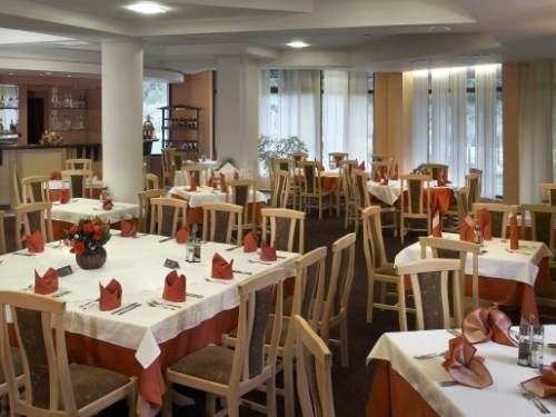 Hotel Orphey Ski Bulgaria (8 / 29)