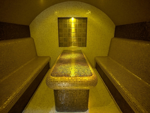 Hotel Festa Chamkoria Ski Bulgaria (32 / 39)