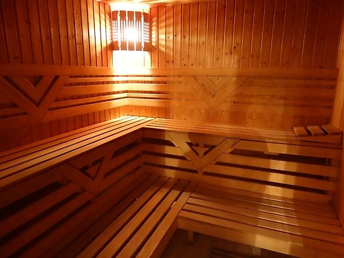 Hotel Belmont Ski & Spa Pamporovo (31 / 31)