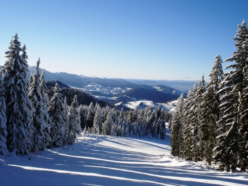 Aparthotel Nevada Pamporovo (12 / 38)