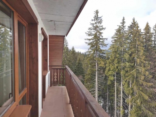 Aparthotel Nevada Pamporovo Ski Bulgaria (9 / 38)