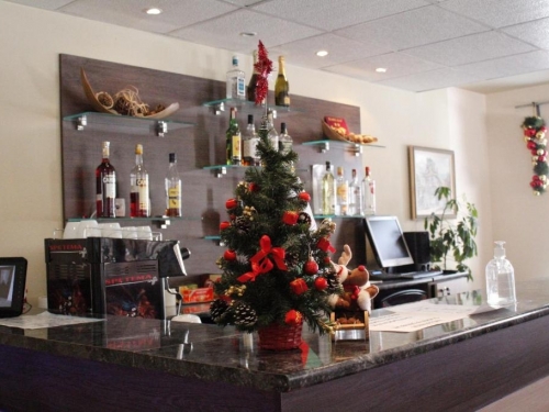 Aparthotel Nevada Pamporovo (36 / 38)