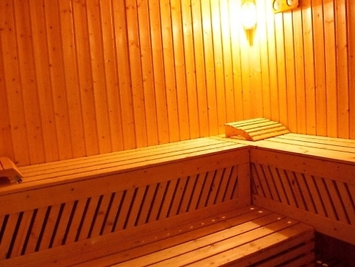 Hotel Elegant Lodge Ski Bulgaria (46 / 51)