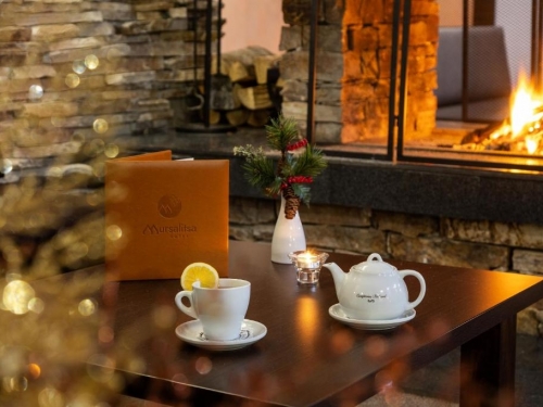 Hotel Mursalitsa Pamporovo Ski Bulgaria (22 / 55)