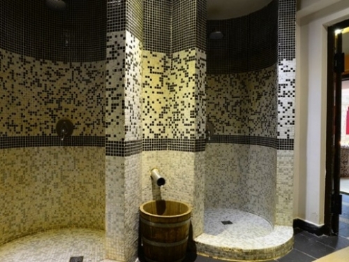 Hotel Mursalitsa Ski Bulgaria (43 / 55)