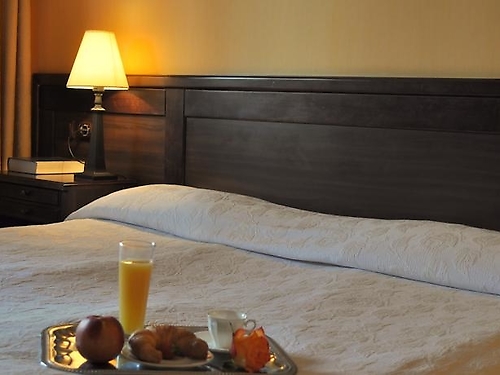 Hotel Izvora Arbanasi (19 / 22)