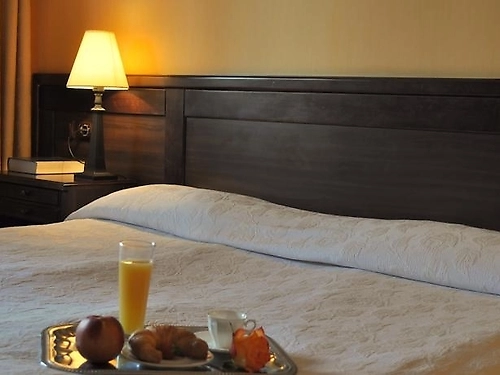 Hotel Izvora Arbanasi (19 / 22)