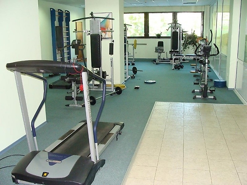 Hotel Ela Ski Bulgaria (28 / 33)