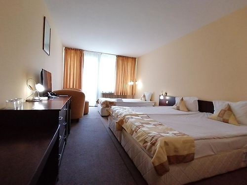 Hotel Ela Borovets (11 / 33)