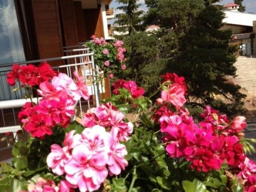 Hotel Dafovska Ski Bulgaria (23 / 36)