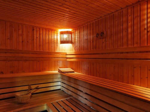 Aparthotel Forest Nook Ski Bulgaria (61 / 74)