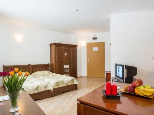 Hotel Stream Resort Pamporovo Ski Bulgaria (7 / 54)