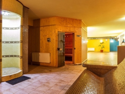 Hotel Stream Resort Pamporovo Ski Bulgaria (42 / 54)