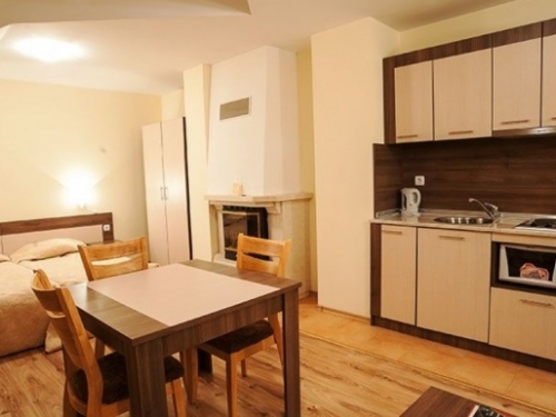 The Castle Complex Pamporovo Ski Bulgaria (20 / 49)