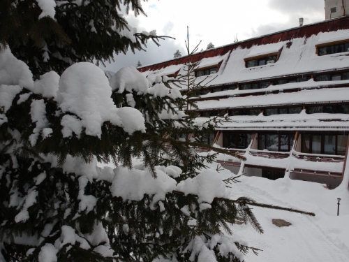 Hotel Moura Boutique & SPA Borovets Ski Bulgaria (50 / 59)