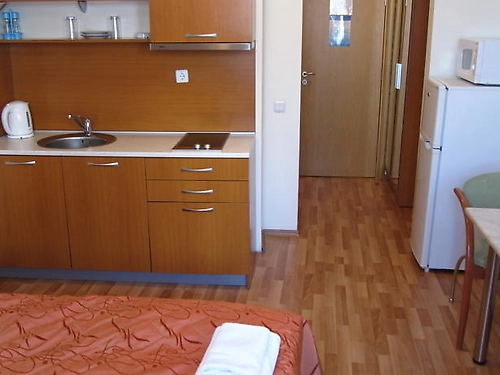 Hotel Aquilon Spa Bansko (24 / 30)