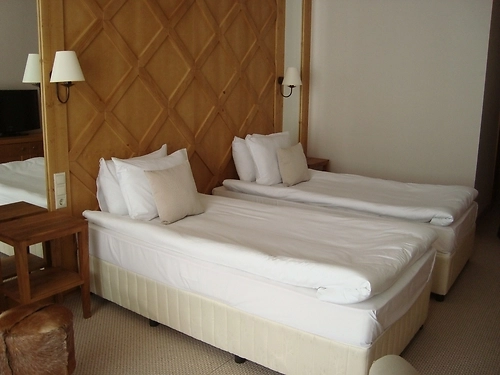 Hotel Green Life Ski & Spa Resort Bansko Bansko (10 / 33)