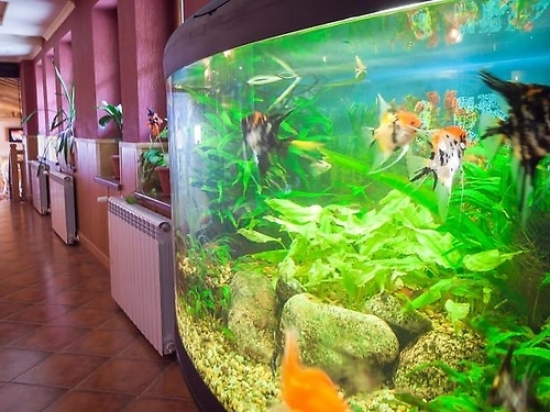 Park Hotel Sevastokrator Arbanasi (17 / 42)