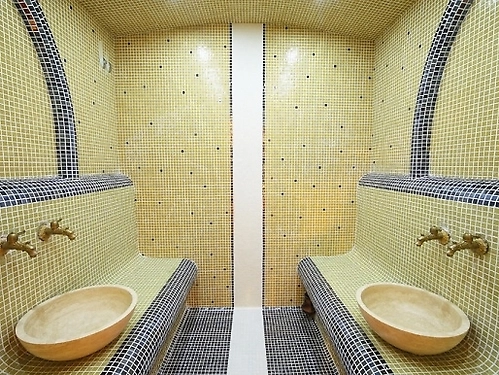 Hotel Rachev Residence Arbanasi (23 / 40)