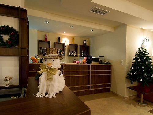 Evergreen Aparthotel Ski Bulgaria (22 / 31)