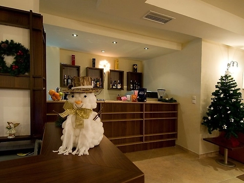 Evergreen Aparthotel Ski Bulgaria (22 / 31)