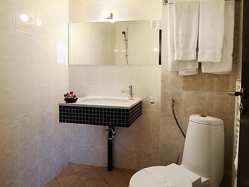 MPM Hotel Villa Roka Ski Bulgaria (11 / 30)