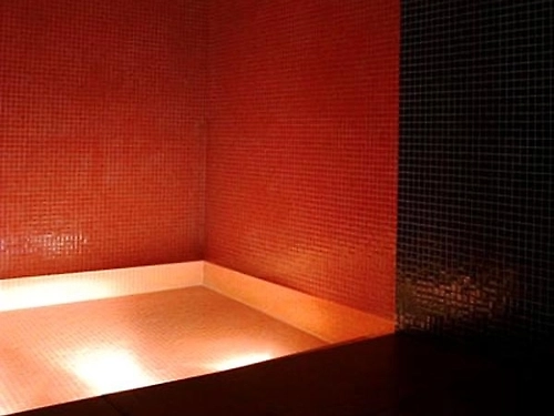 MPM Hotel Villa Roka Bansko (15 / 30)