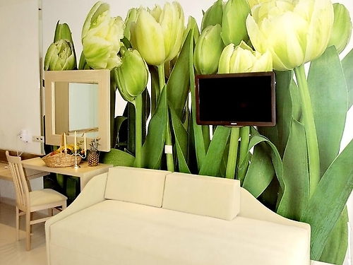 Hotel Tarsanas Studios Thassos (8 / 27)