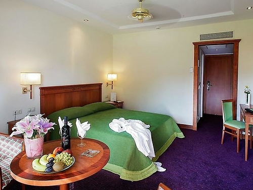 Hotel Theophano Imperial Palace Grecia (19 / 22)