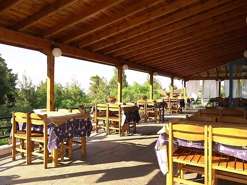 Hotel Theo Bungalows Kassandra Grecia (22 / 22)