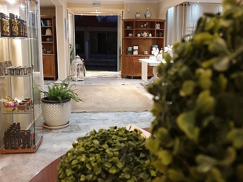 Alkyonis Hotel Kassandra Grecia (8 / 29)