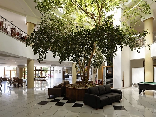 Hotel Aristoteles Holiday Resort Spa Athos Grecia (28 / 40)