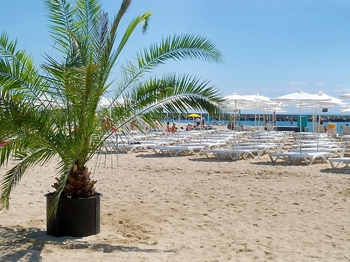 Grand Hotel Varna Bulgaria (14 / 42)