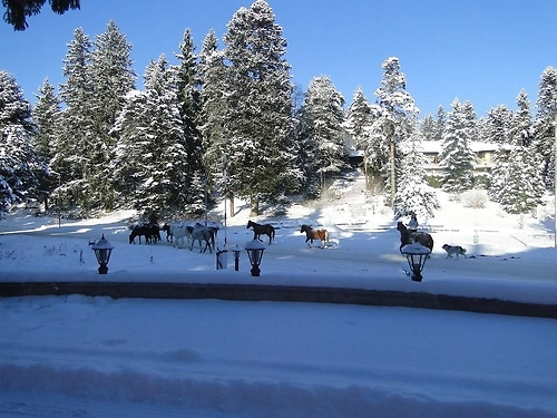 Villa Sokol Hotel Borovets (34 / 48)