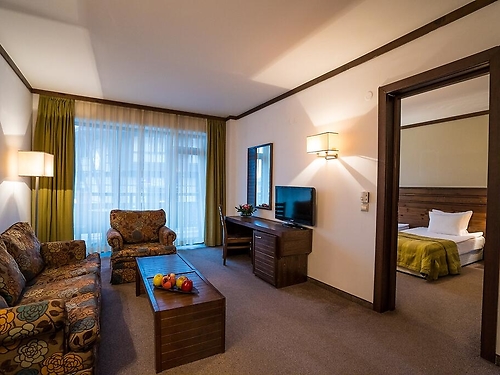 Astera Hotel Bansko (8 / 42)