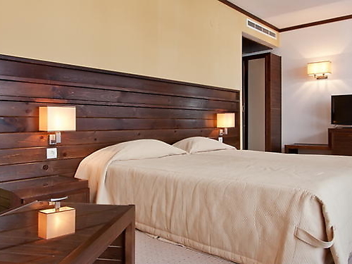 Astera Hotel Bansko (7 / 42)