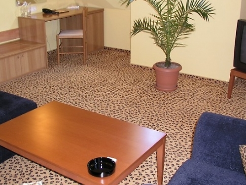 Hotel Alegro Veliko Tarnovo Ski Bulgaria (11 / 25)