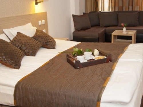 Hotel Radinas Way Ski Bulgaria (11 / 50)