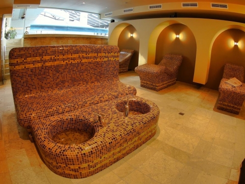 Hotel Radinas Way Ski Bulgaria (24 / 50)