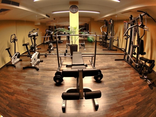 Hotel Radinas Way Borovets Ski Bulgaria (16 / 50)