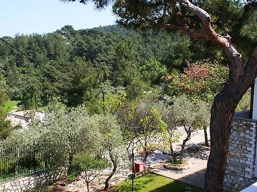 Hotel Villa Victoria Grecia (16 / 31)