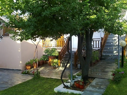 Hotel Alexandra Athos (5 / 13)