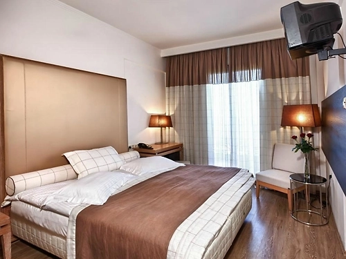 Hotel Olympus Thea Grecia (6 / 29)