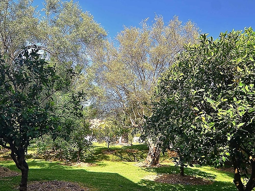 Hotel Konaki Lefkada Grecia (6 / 31)