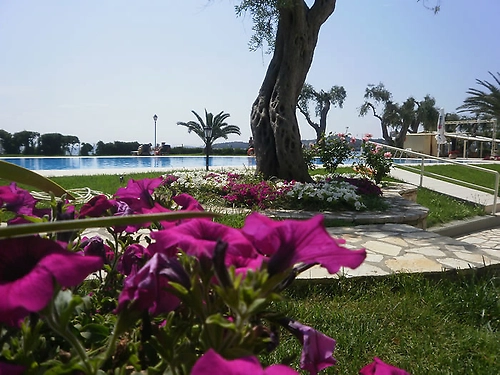 Hotel Elea Beach Grecia (15 / 23)