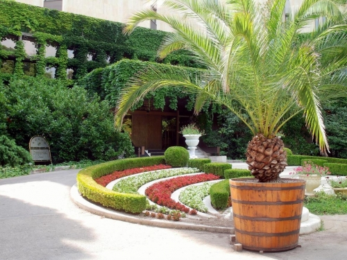 Hotel HVD Imperial Nisipurile de Aur (9 / 23)