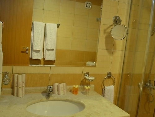 Hotel Orpheus Pamporovo (15 / 48)
