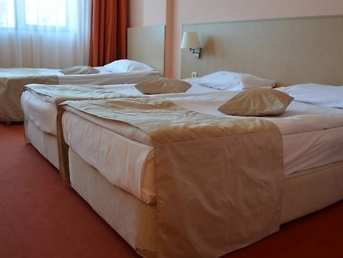 Hotel Orpheus Ski Bulgaria (13 / 48)
