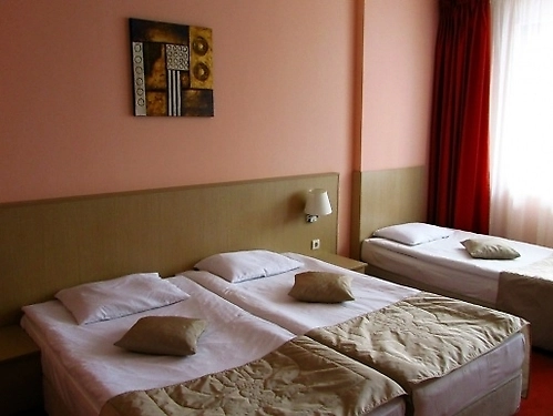 Hotel Orpheus Pamporovo Ski Bulgaria (7 / 48)